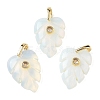 Opalite Pendants GG-CBA105B-01I-G-1
