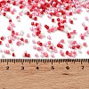 Baking Paint Glass Seed Beads X-SEED-S042-05B-46-4