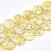 Freshwater Shell Beads Strands SHEL-S274-62-3