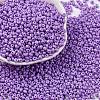 8/0 Baking Paint Glass Seed Beads SEED-M012-02A-47-1