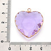 Transparent Glass Pendants KK-N283-01H-G-3