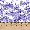 Baking Paint Silver Lined Glass Seed Beads SEED-H003-09G-4