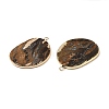 Natural Tiger Eye Pendants G-E526-09H-6