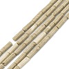Natural Petrified Wood Beads Strands G-F247-49-2