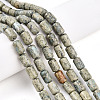 Natural Variscite Beads Strands G-N346-01B-14-1