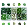 210Pcs 10 Styles Baking Paint Glass Beads Strands DGLA-YW0001-50-1