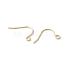 316 Surgical Stainless Steel Earring Hooks STAS-Z124-02C-G-2