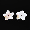 Natural Freshwater Shell Beads BSHE-T014-14-2