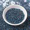 MIYUKI Round Rocailles Beads SEED-G008-RR0249-2