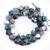 Natural Agate Beads Strands G-T121-08A-2