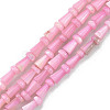 Natural Freshwater Shell Beads Strands SHEL-G013-02A-1