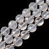 Natural White Agate Beads Strands G-B153-B02-3