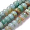 Natural Dyed Agate Imitation Turquoise Beads Strands G-P425-01A-01-2