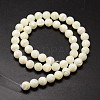 Shell Beads Strands SSHEL-E571-39-3mm-2