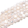 Natural Cultured Freshwater Pearl Beads Strands PEAR-T006-18C-2