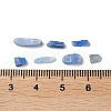Natural Kyanite/Cyanite/Disthene Chip Beads Beads X-G-L588-01-3