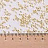 Cylinder Seed Beads X-SEED-H001-G04-2