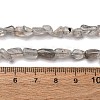 Natural Labradorite Beads Strands G-I389-A35-01B-5