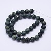 Natural Kambaba Jasper Beads Strands G-D744-10mm-2