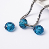 Glass European Beads GDA007-66-2