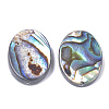 Natural Abalone Shell/Paua Shell Beads X-SSHEL-T008-14-2