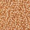 TOHO Round Seed Beads X-SEED-TR08-0955-2