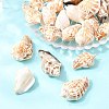 Natural Conch Shell Beads X-BSHE-O007-57-5