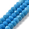 Dyed Natural Howlite Beads Strands G-G023-A01-01B-1