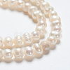 Natural Cultured Freshwater Pearl Beads Strands X-PEAR-L001-F-08-3
