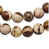 Natural Australia Zebra Stone Beads Strands G-H125-6mm-1