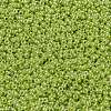 MIYUKI Round Rocailles Beads SEED-X0056-RR0439-3