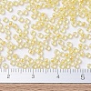 MIYUKI Round Rocailles Beads SEED-G007-RR0273-4