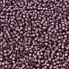 MIYUKI Delica Beads SEED-X0054-DB1792-4