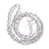 Transparent Electroplate Glass Beads X1-GLAA-K064-05A-PL06-2