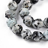 Dyed Natural Sesame Jasper Beads Strands G-T139-8mm-47J-3