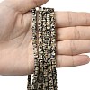 Natural Dalmatian Jasper Beads Strands G-A280-C07-01-1