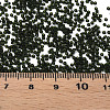 15/0 Transparent Czech Glass Seed Beads SEED-N004-004-30-6