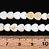 Natural Freshwater Shell Beads Strands SHEL-N026-67A-4