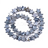 Freshwater Shell Beads Strands X-SHEL-S276-31A-2