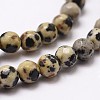 Natural Dalmatian Jasper Beads Strands X-G-D840-49-4mm-3