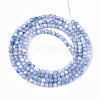 Dyed Natural Trochid Shell/Trochus Shell Beads Strands SSHEL-T017-13M-3