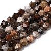 Natural Petrified Wood Beads Strands G-Z119-A21-01-3