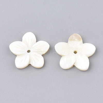 Freshwater Shell Beads SHEL-S274-09-1