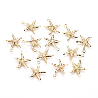 Iron Pendants IFIN-I030-10G-1
