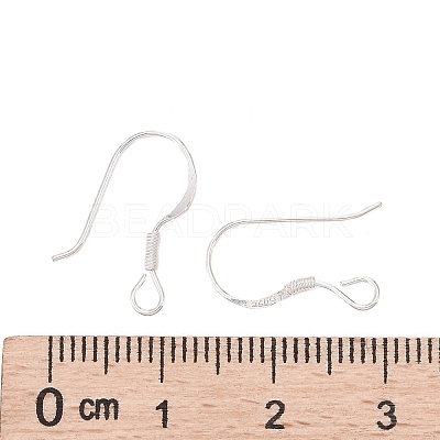 925 Sterling Silver Earring Hooks STER-G011-09-1