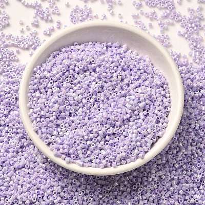 Cylinder Seed Beads SEED-H001-B06-1
