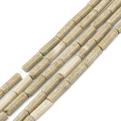 Natural Petrified Wood Beads Strands G-F247-49-1