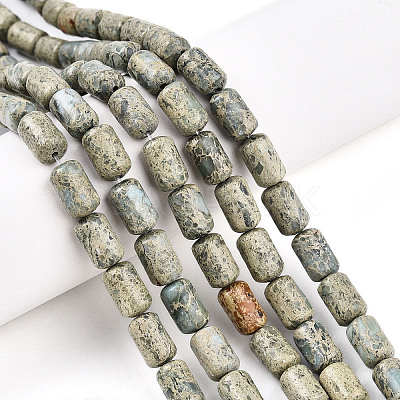 Natural Variscite Beads Strands G-N346-01B-14-1