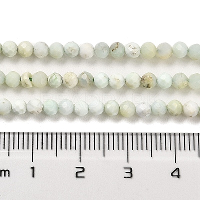 Natural Green Opal Beads Strands G-Z035-A02-02A-1