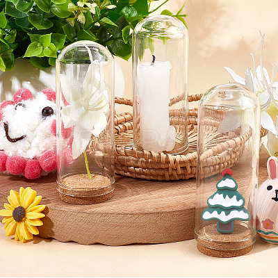 Glass Dome Cloche Cover AJEW-CP0005-62C-1
